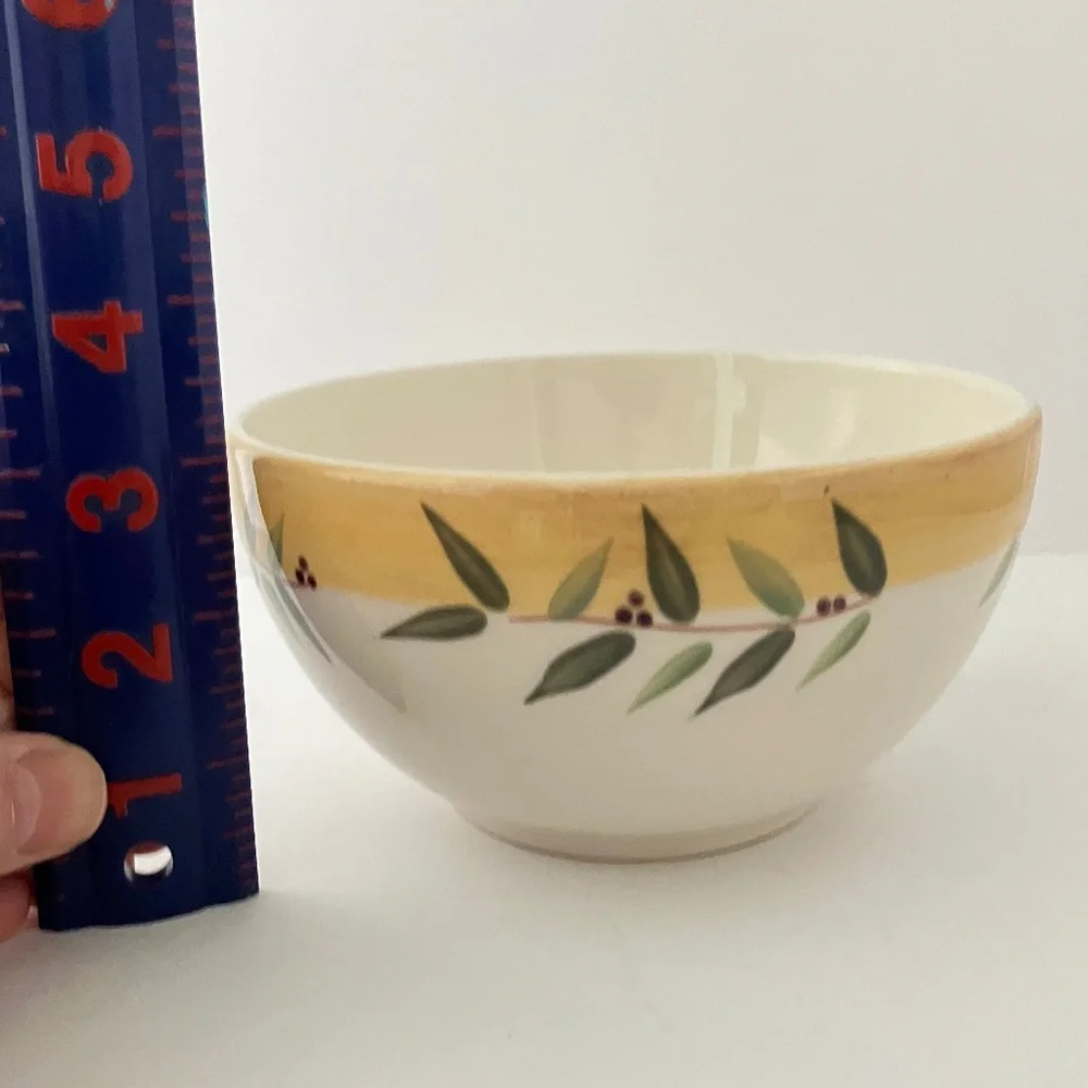 Soup/Cereal Bowl Brittany by CRATE & BARREL Set of 3